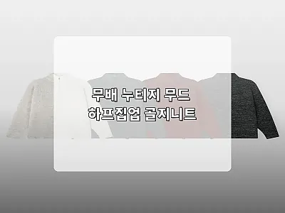 무배 누티지 무드 하프집업 골지니트, 관련 이미지
